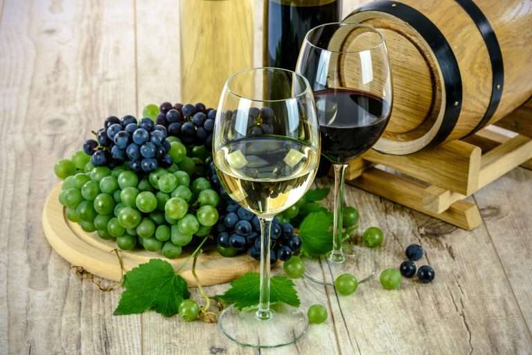 Tipos diferentes de vinhos: confira 4 modelos e suas características! Tipos diferentes de vinhos: confira 4 modelos e suas características!
