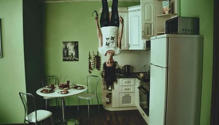 geladeira