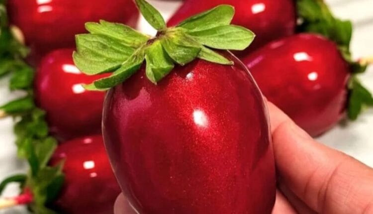 receita de morango do amor